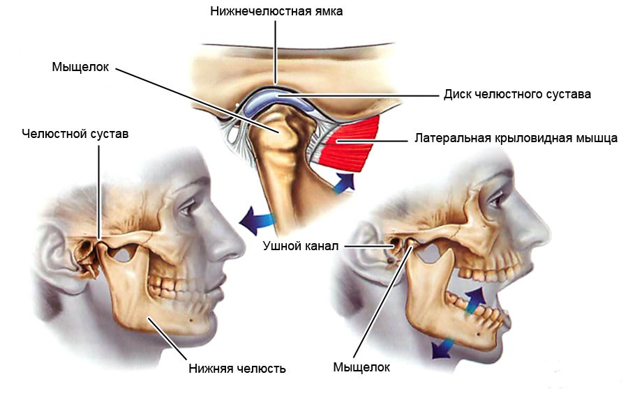 2. Вредные привычки