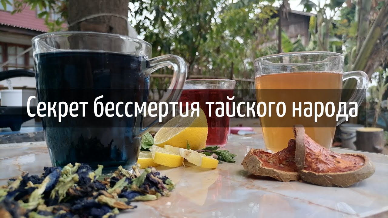 Уникальные свойства синего чая анчан и красного каркаде
