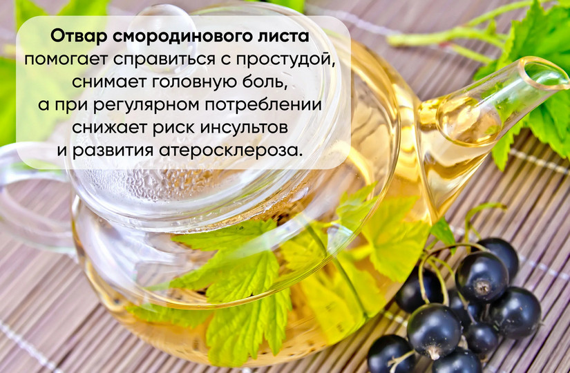 Хранение трав