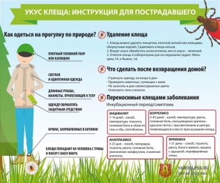 5. Дезинфицируйте укус