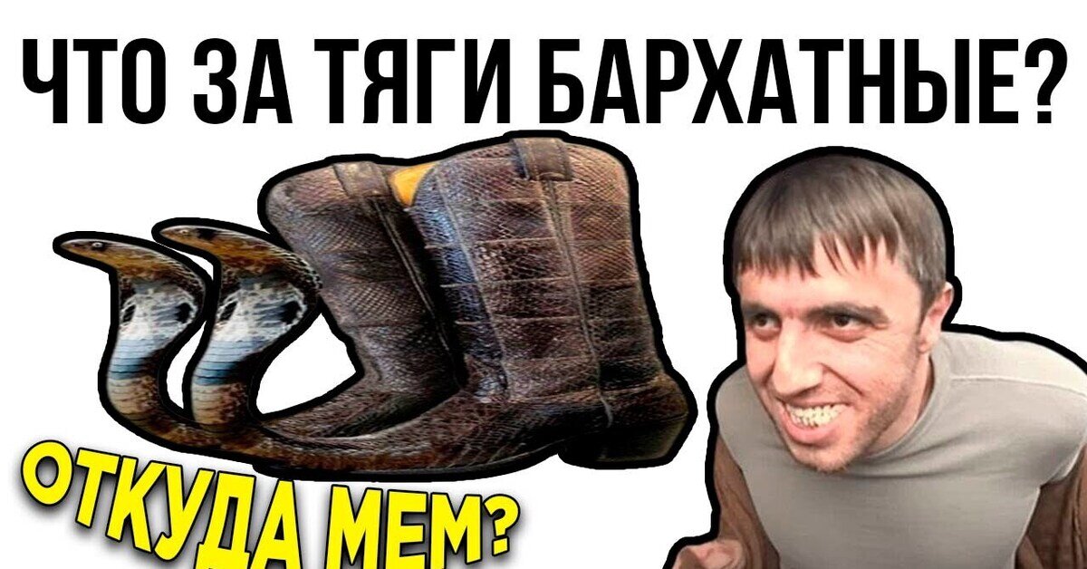 Завершение эволюции?