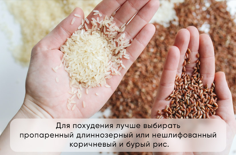 Мифы и правда о рисе