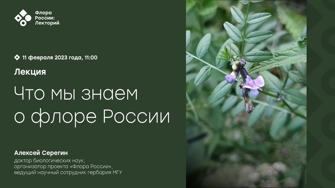 Продолжение празднования 1 апреля в других странах