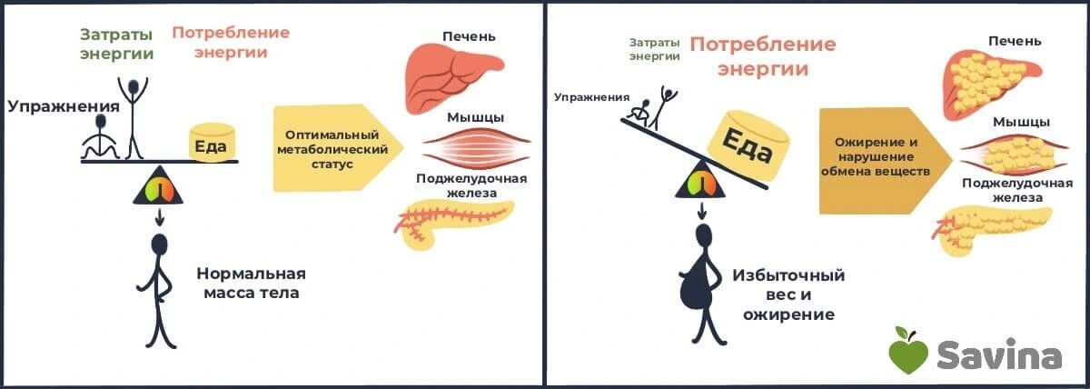 Употребление маленького количества пищи помогает сжигать жир