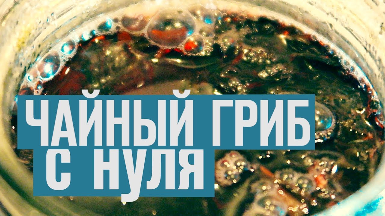 Подготовка чайной грибковой бутылки