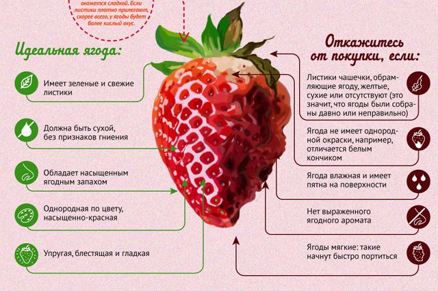 Как правильно выбрать