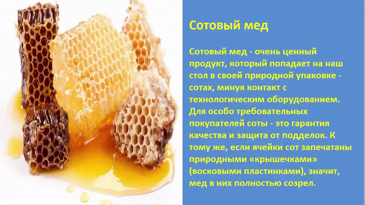 Благотворное воздействие меда на здоровье