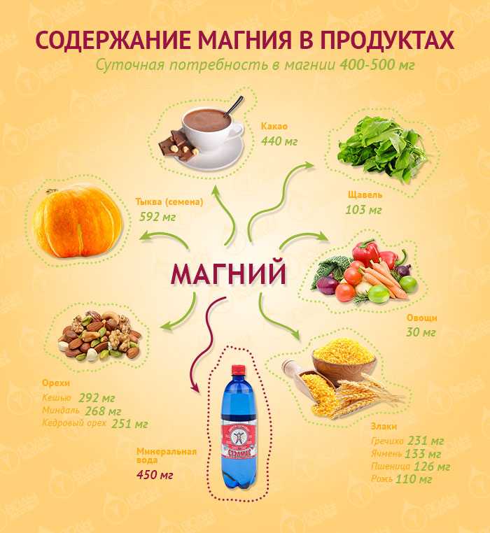 Продукты в животном мире