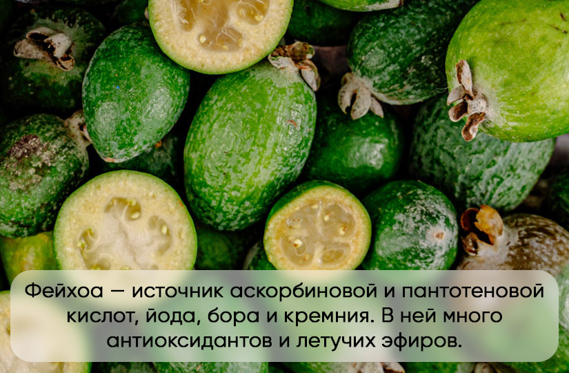 Карельская клюква: уникальный антибактериальный эффект