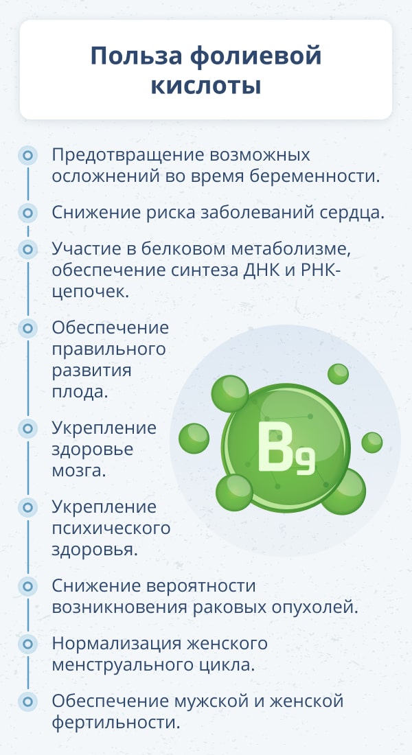 Зачем организму нужна фолиевая кислота