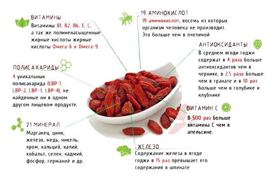 Уникальные свойства ягод годжи для поддержания здоровья