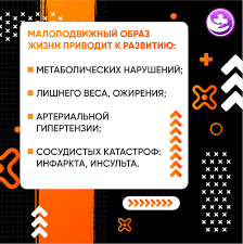 Профилактика и методы борьбы с малоподвижностью