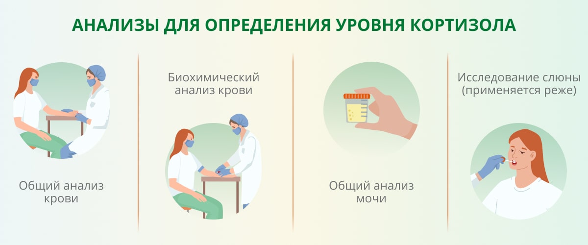 Влияние кортизола на организм: