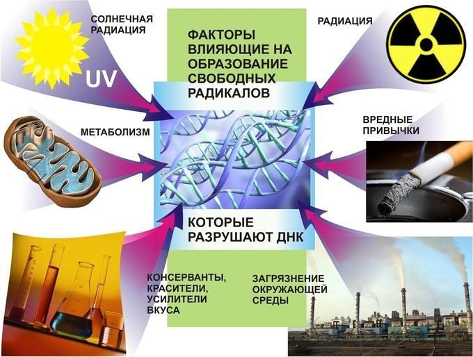 Борьба за здоровье