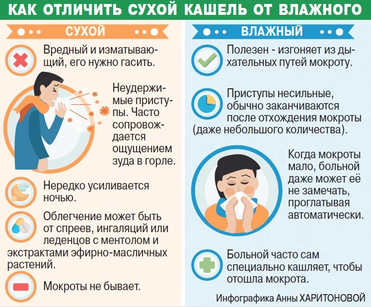 1. Вирусные инфекции