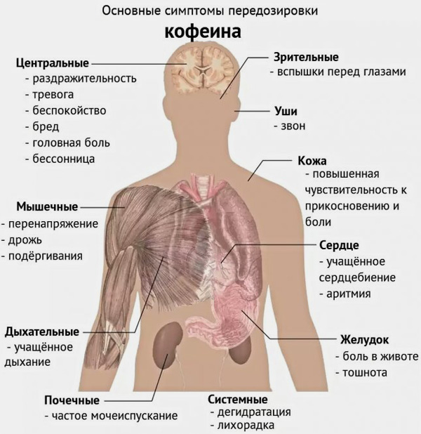 Какое количество кофе считается разумным?