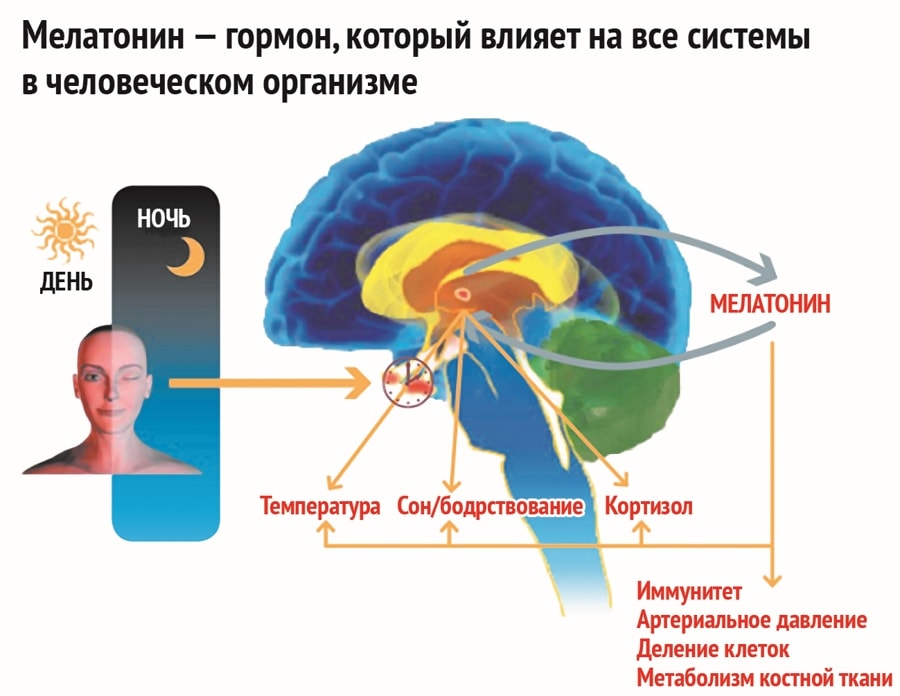 Индивидуальный подход и противопоказания