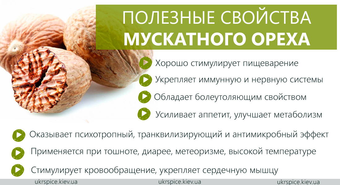 Узнайте, сколько калорий содержит мускатный орех и как это влияет на организм