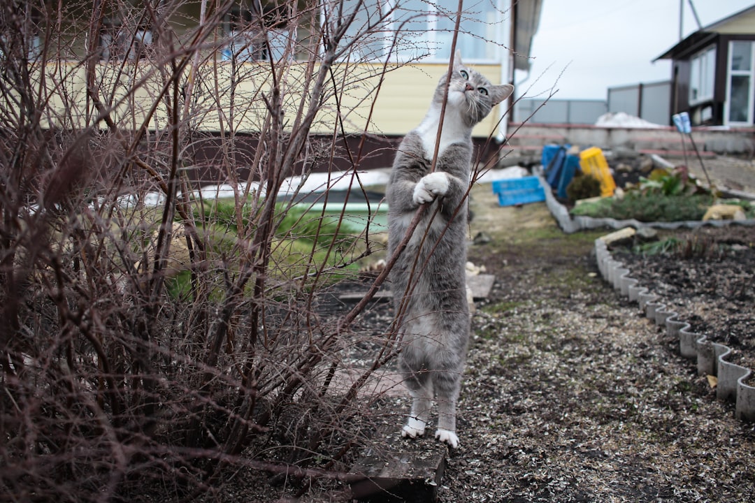 Ты действительно боишься провала? Или, может, всё дело в том, что ты боишься успеха?